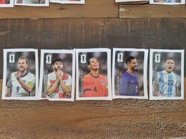 5 WM Cola Panini Sticker