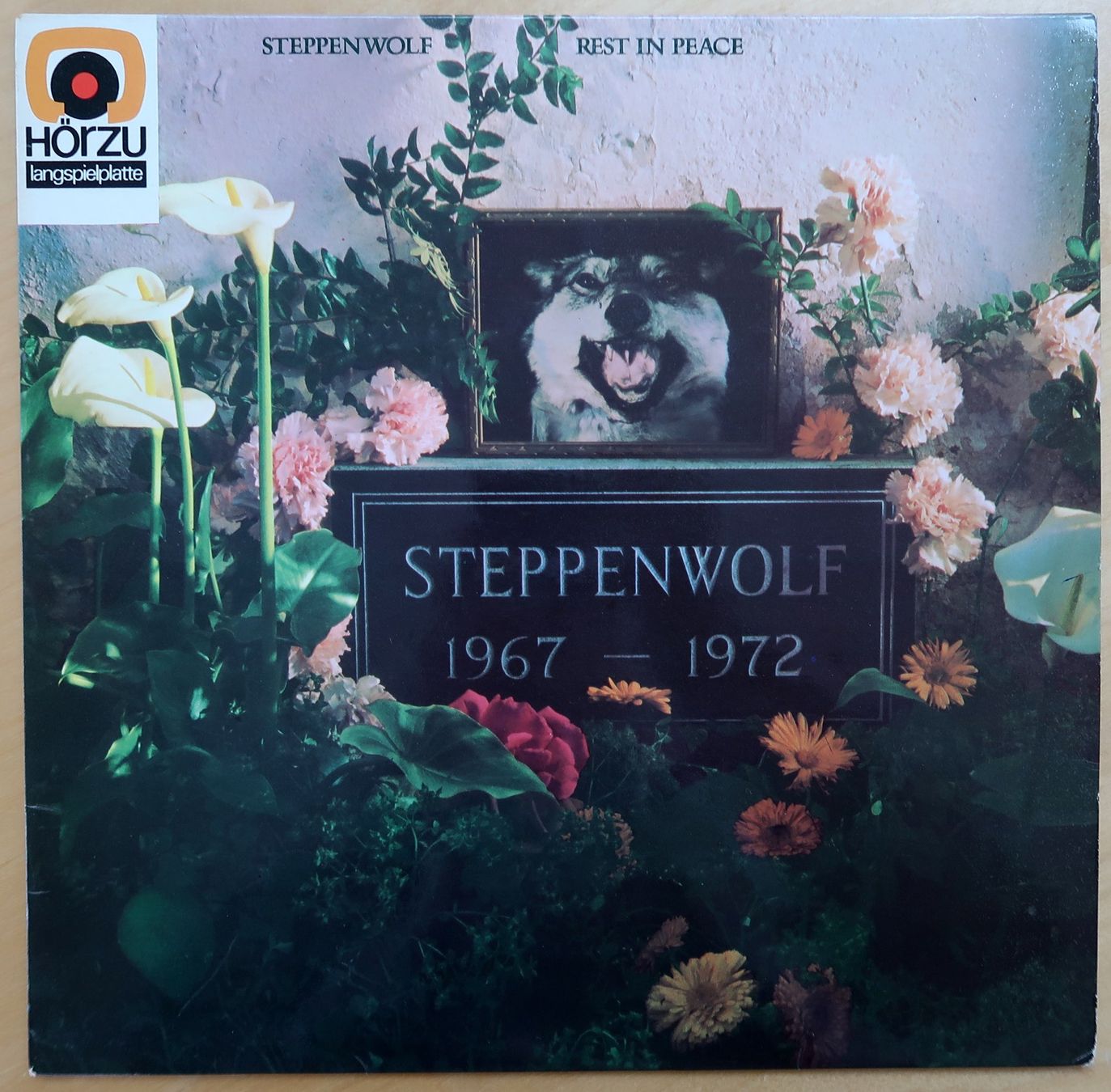 Dischi in vinile: STEPPENWOLF - REST IN PEACE (LP VG) – Usato da Hedingen venduto da Studers