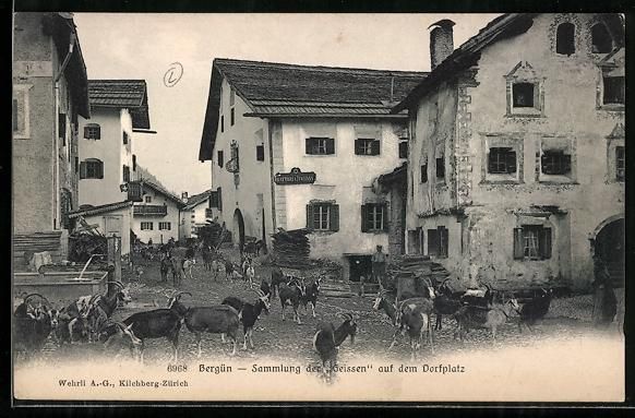 Cartoline postali: Bergün, Sammlung der Geissen auf dem Do – Usato da Berlin venduto da bartko-reher