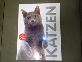 Katzen, "N. Y. Foto Award"