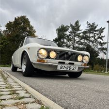 Profile image of Loperfido21