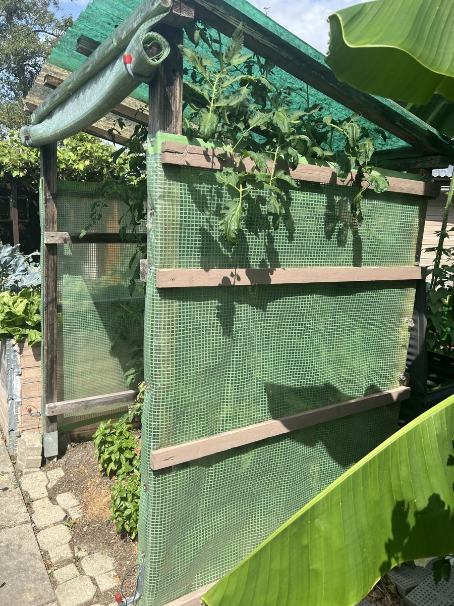 Gartenhäuser & Gewächshäuser: Tomatenhaus  – Gebraucht aus Schwerzenbach von Exmoni