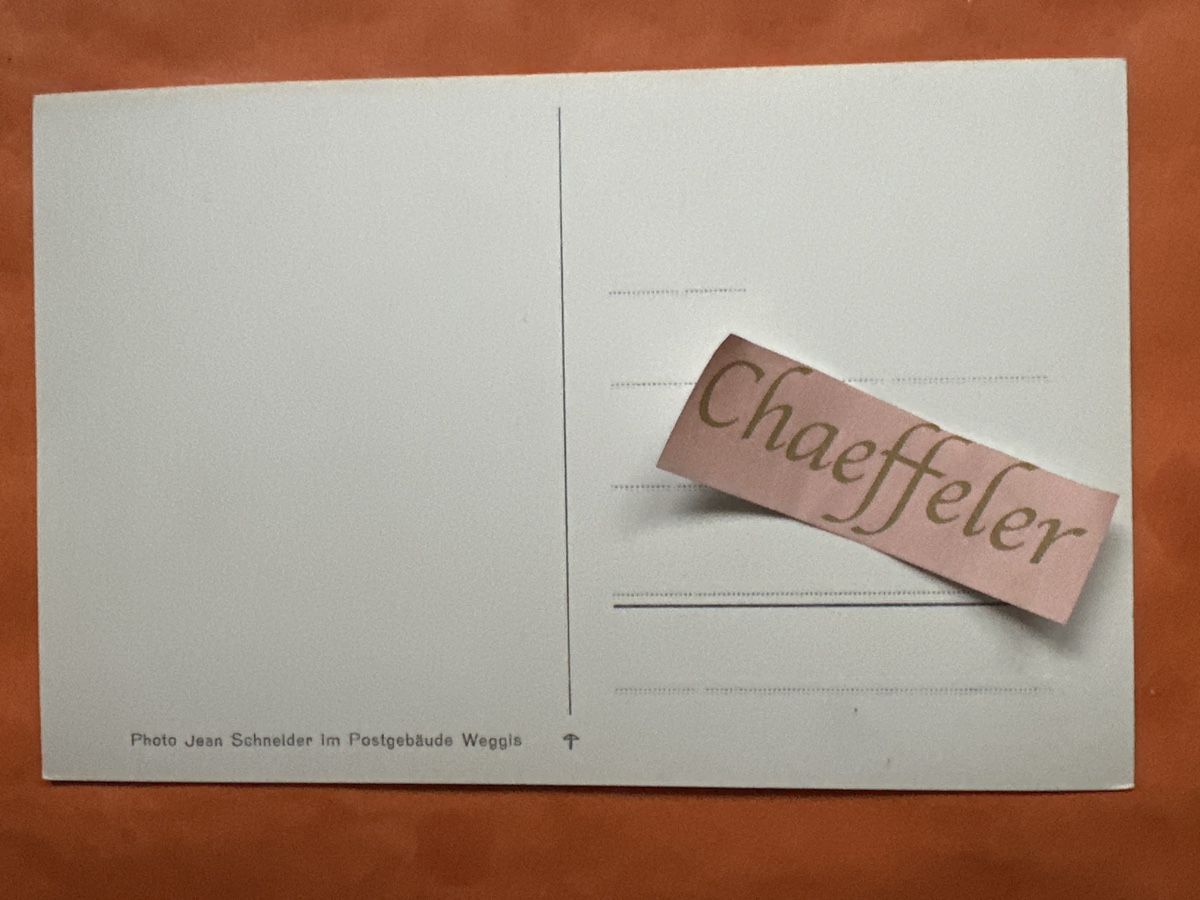 Ansichtskarten: 02 Weggis Föhnsturm – Gebraucht aus Zürich von Chaeffeler 1