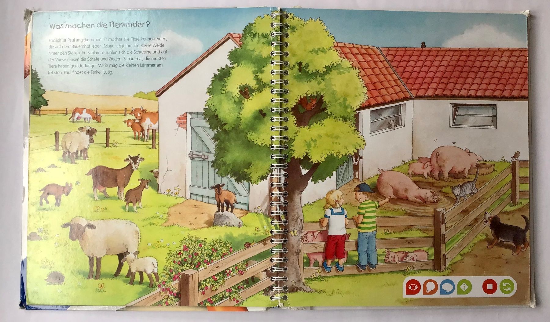 Libri: tiptoi - Buch: Entdecke den Bauernhof – Usato da Bubendorf venduto da Alpenheidi 6
