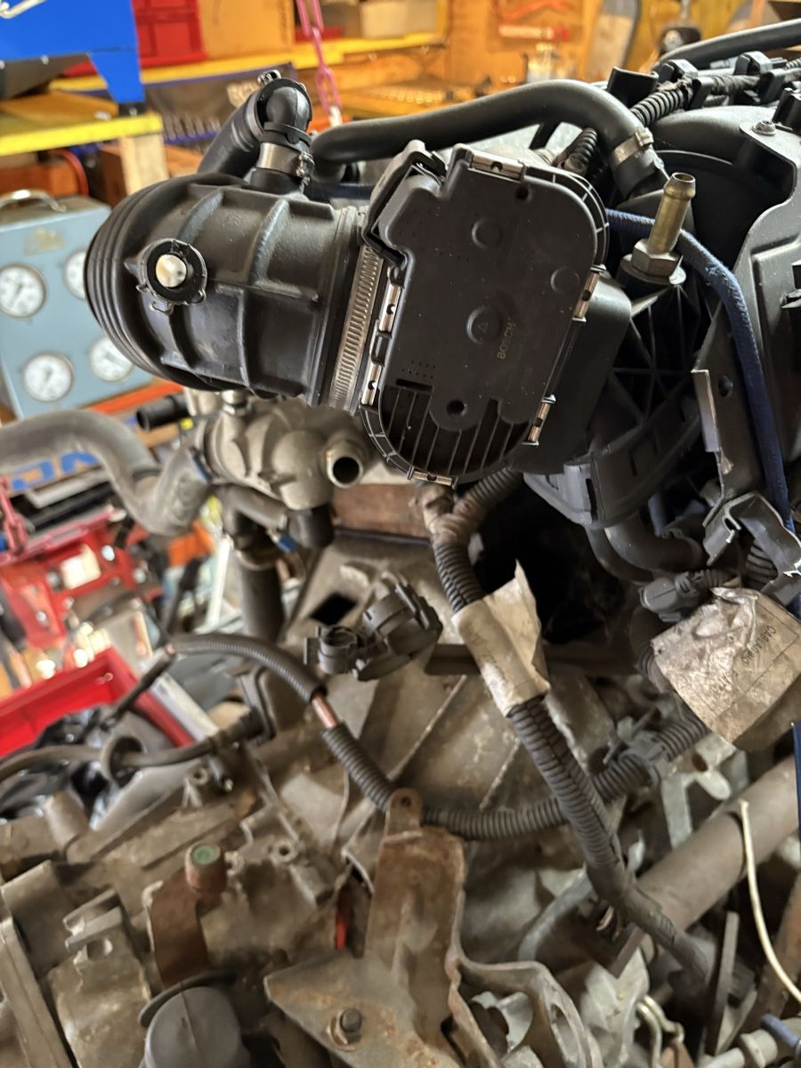 Alfa Romeo Motori: Motor und Getriebe – Usato da Brittnau venduto da firefly68 2