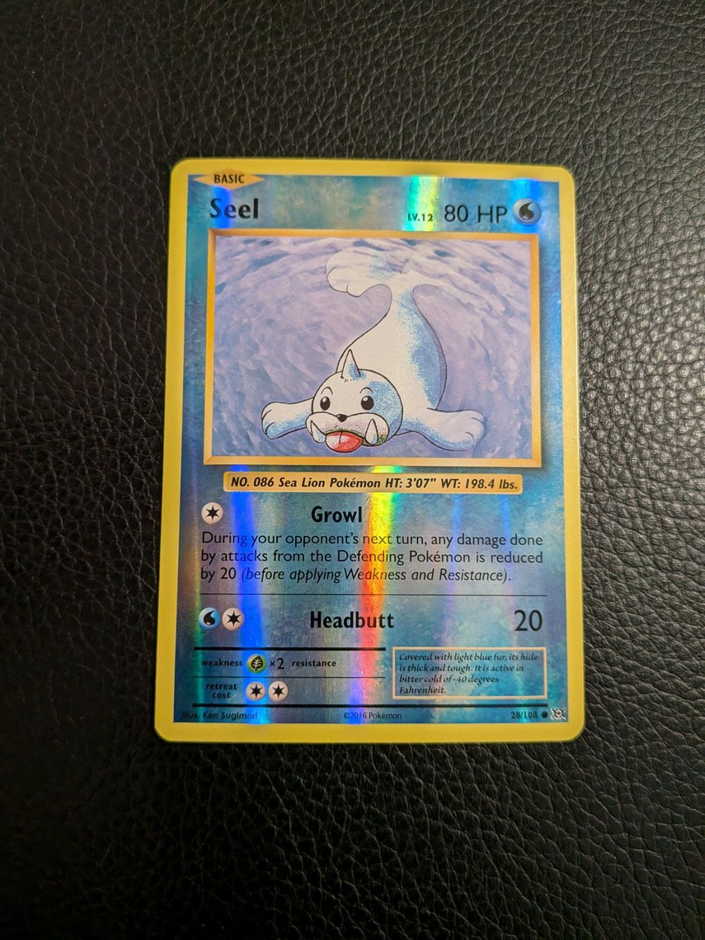 Pokémon Sammelbilder & Trading cards: Evolutions Seel reverse 28/108 Ab 1 – Gebraucht aus Paradiso von Pkmn10