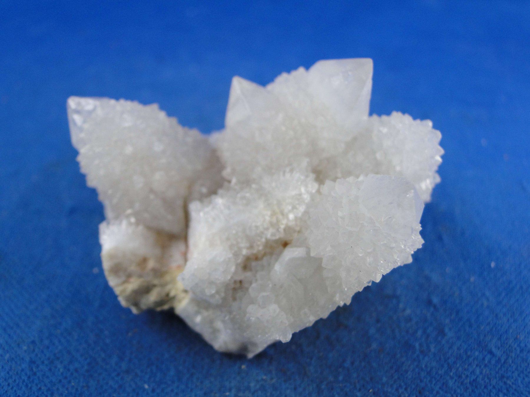 Minerali & Pietre curative: Quartz var. Amethyst & Kaktus – Nuovo e nell'imballaggio originale da Schinznach Bad venduto da Demerald 5