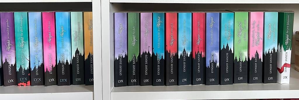 Libri: Lynsay Sands – Usato da Basel venduto da Eidechse32 1