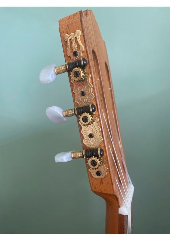 Strumenti musicali: Klassische Gitarre Artesa – Usato da Allschwil venduto da Trust03 3