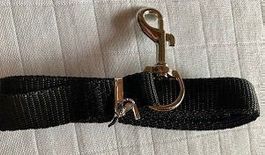 Hundeeine passend zum Halsband