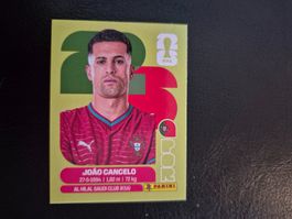 Panini WM 26 POR 5