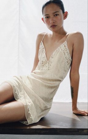 Zara dress
