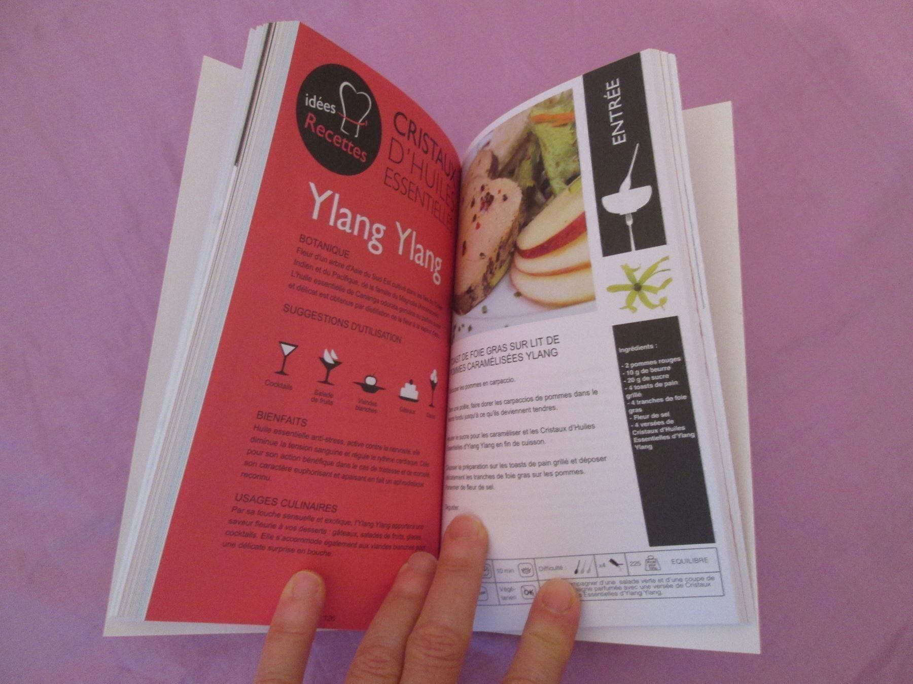 Libri: La cuisine aux cristaux – Nuovo (secondo la descrizione) da Neuchâtel venduto da Dualseele 4