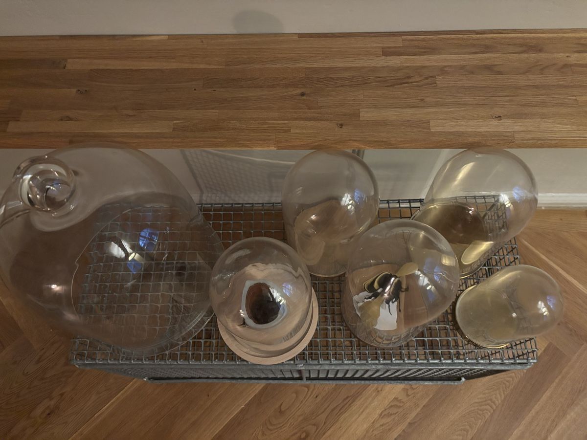 Bicchieri: Div. Cloches/Glasglocken im Set – Usato da Bern venduto da fredy_22 1
