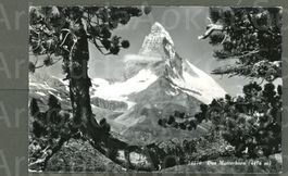 AK sw Zermatt VS Das Matterhorn, immer wieder schön ≈ 1963