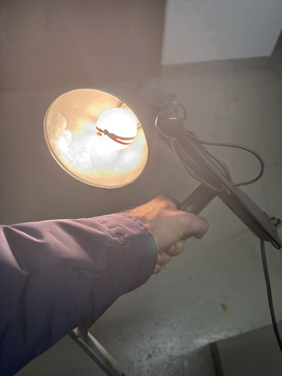 Lampade: Lampe  ancienne articulée – Usato da petit lancy venduto da FerreiraLuis 4