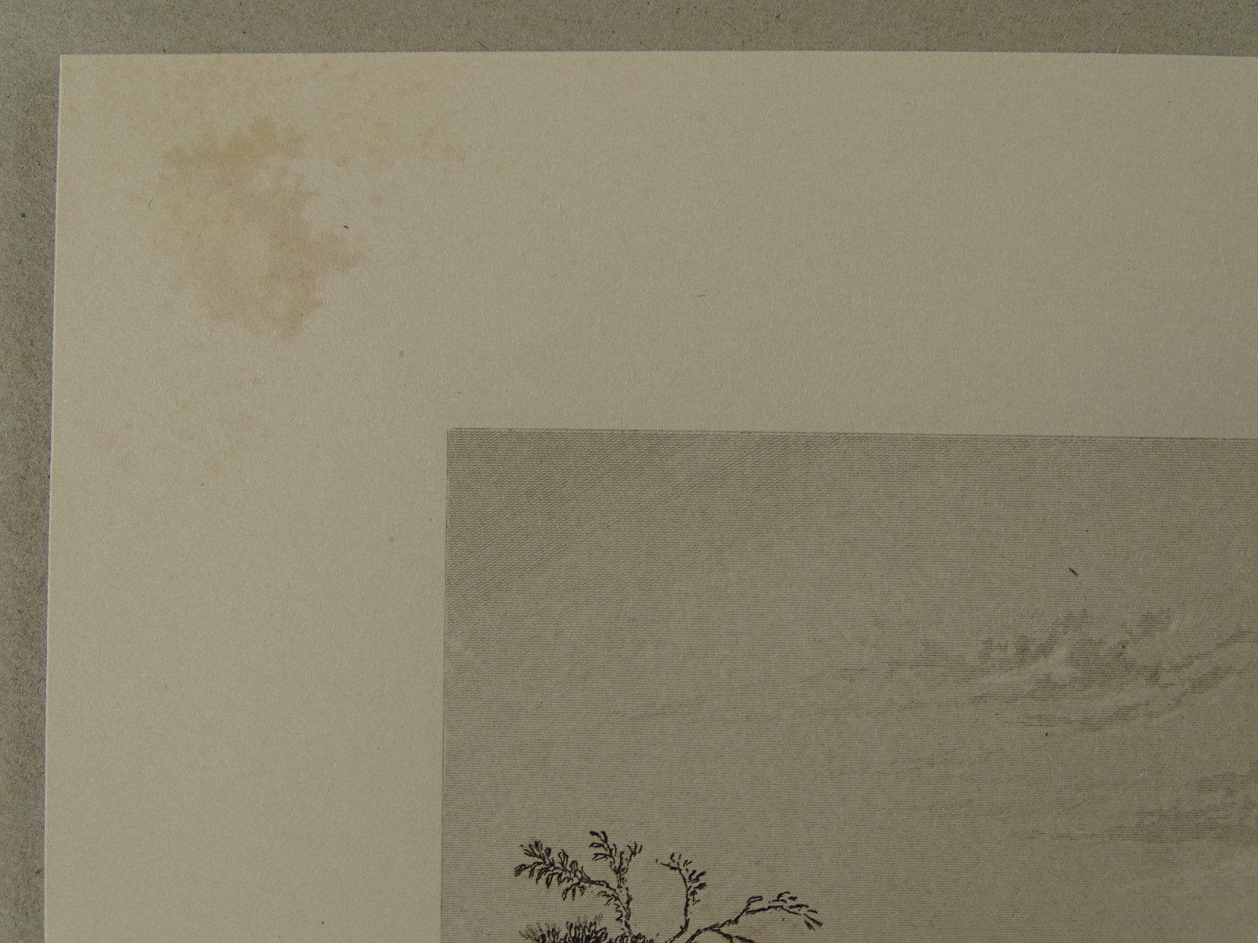 Incisioni: GENF, GENÈVE, STAHLSTICH 1836 – Usato da Grüningen venduto da Kartensammler 7