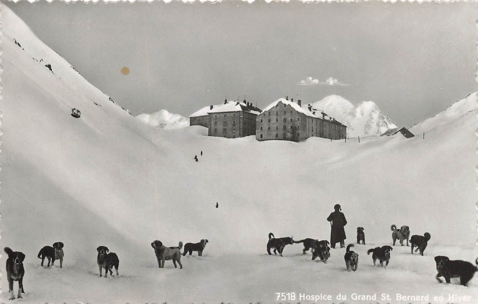 Cartoline postali: Hospice Grand St. Bernard – Usato da Biasca venduto da Blenio71
