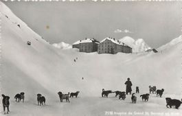 Hospice Grand St. Bernard