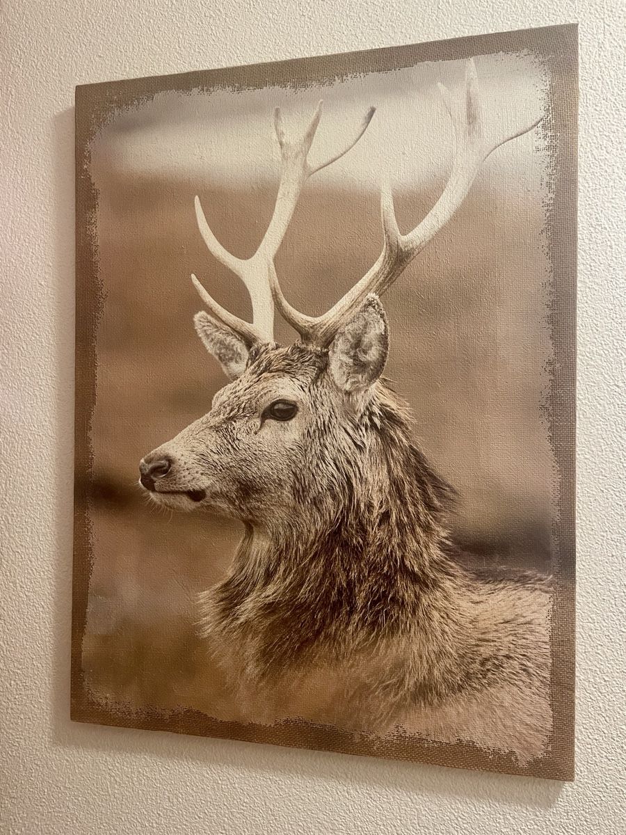 Poster & Bilder: Wandbild Hirsch - auf Leinwand gemalt - 58x77cm – Gebraucht aus Sursee von Steffi_2020