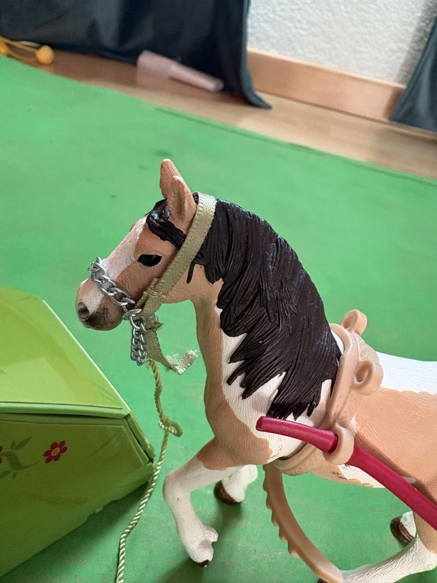 Schleich Giocattoli: SCHLEICH Sarahs Campingausflug – Usato da Deitingen venduto da Cortaderia79 1
