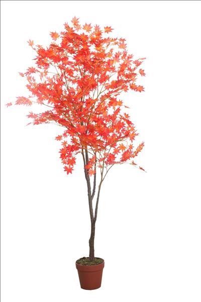 Piante e fiori finti: Decoflower Maple Tree – Nuovo e nell'imballaggio originale da Däniken SO venduto da Profog1