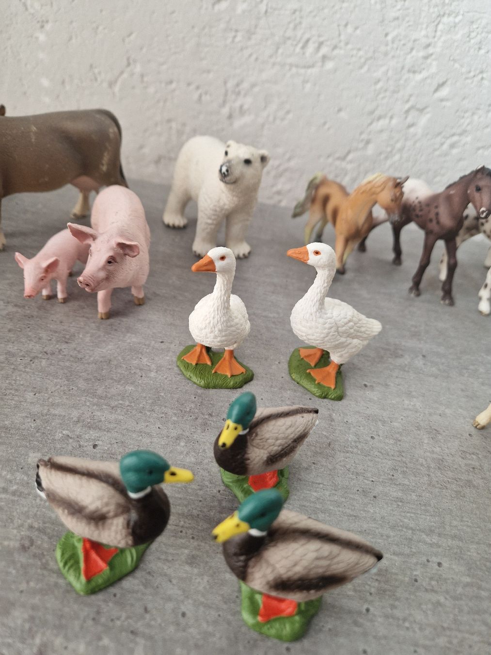 Schleich Statuette: Schleich Tiere – Usato da Wiesendangen venduto da Romcar1 4