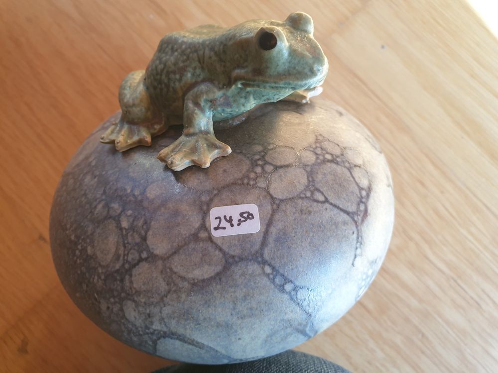 Schwimmender Frosch für den Teich Kaufen auf Ricardo