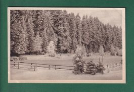 KÖNIGSFELD - Waldsee