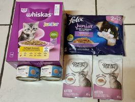 Katzenfutter-Paket für Kitten