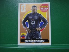 Moises Caicedo Extra Sticker Panini WM 2026 Bronze