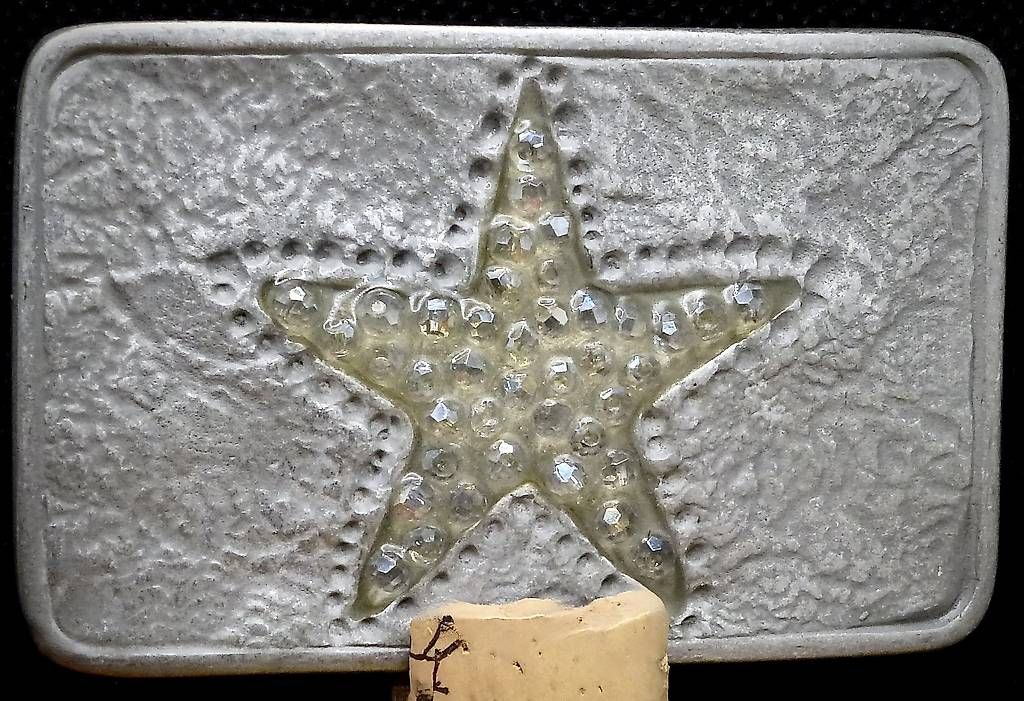 Fibbie per cinture: Iims Gürtel-Schnalle – Usato da Ottenbach venduto da Budy81 1