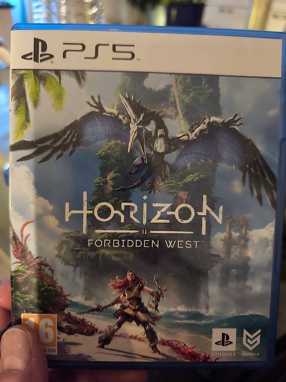 Giochi: Ps5 Horizont forbidden west – Usato da Zeiningen venduto da SRo_k7hm
