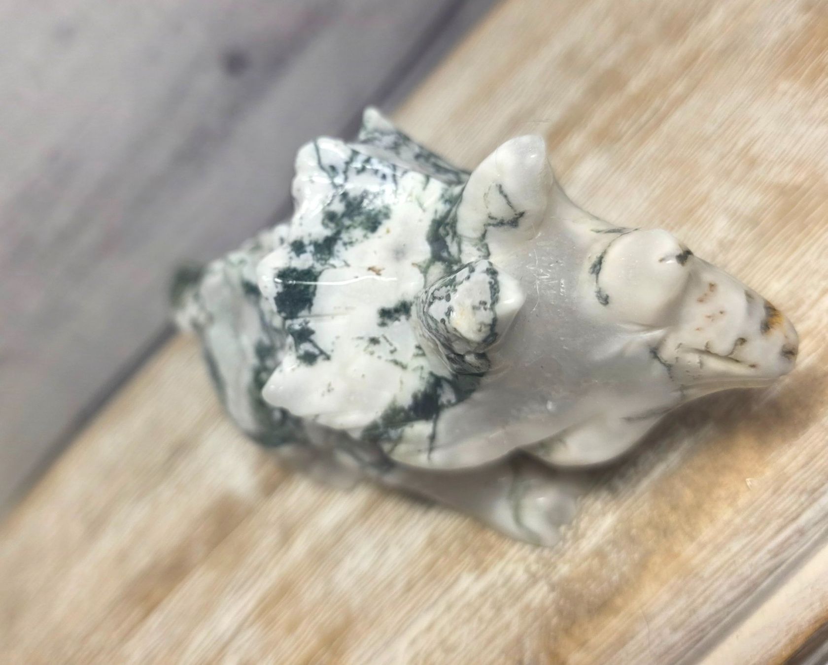 Minerali & Pietre curative: Moosachat Triceratops 500g – Nuovo e nell'imballaggio originale da Matzingen venduto da Shay_Crystalz 2