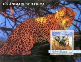 Block "Leopard". Guinea-Bissau.