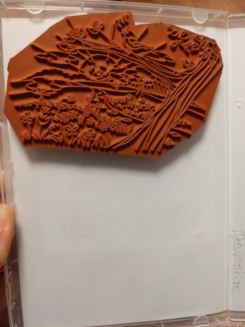 Timbri: Stempel Natur – Usato da Oberhasli venduto da Joe_ahoi 2
