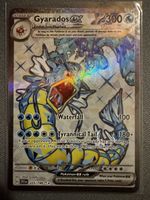 🔥Gyarados ex 🔥