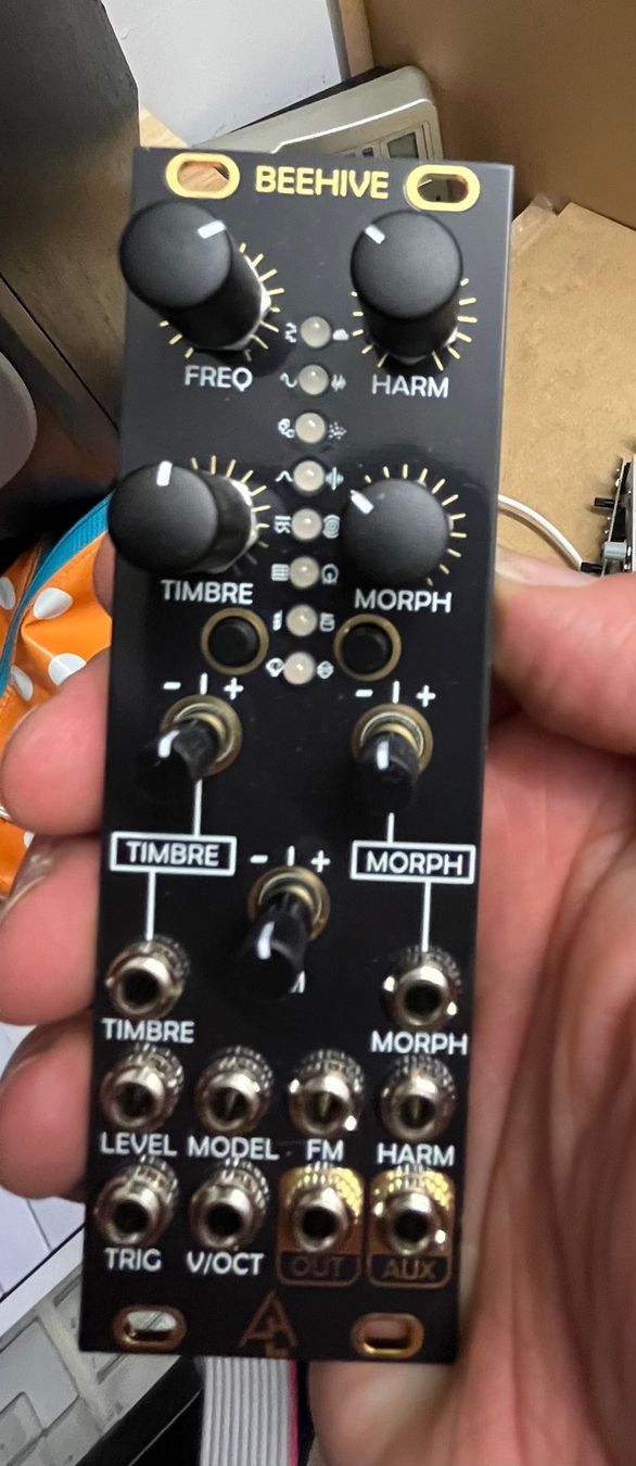 Strumenti musicali: Beehive von After Later Audio (Plaits Mutable Clone) – Usato da Zürich venduto da Tigerkatze77