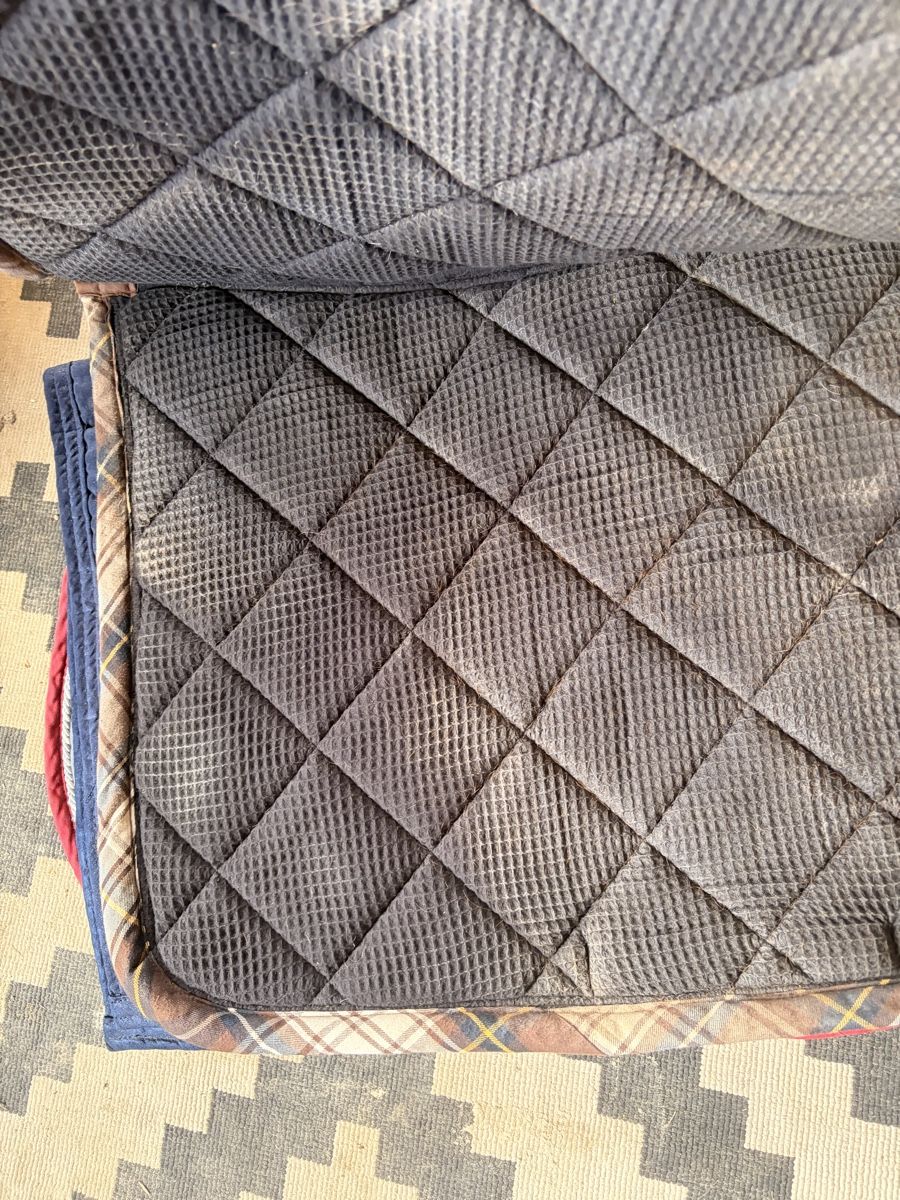 Sattel & Sattelzubehör: Tapis brun – Gebraucht aus Lavigny von Lea_9rxv 1
