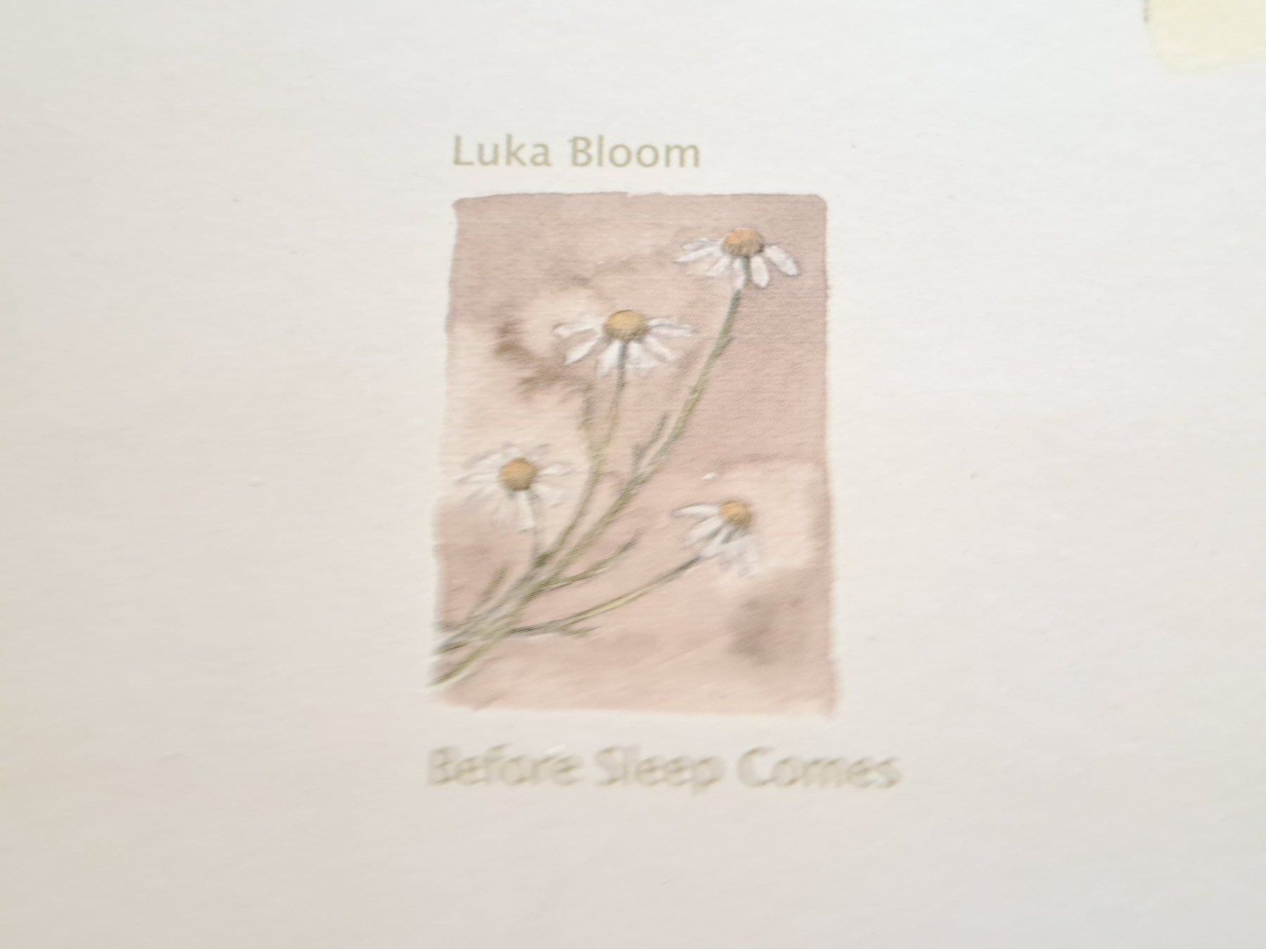 CD: Cd Luka Bloom - Before Sleep comes – Usato da Pully venduto da bro_n52j 1