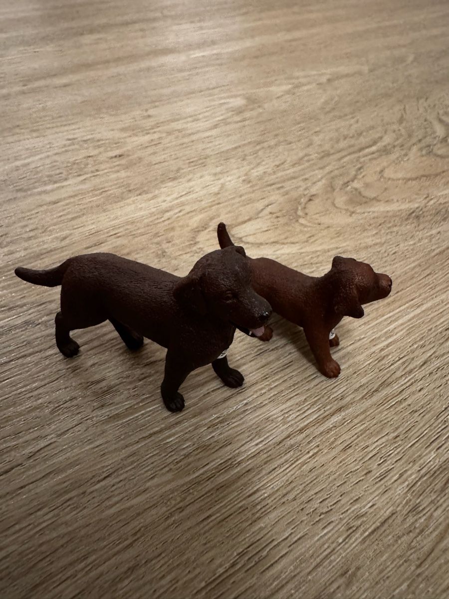 Schleich Figurines: Schleich Hunde 2er Set  – Neuf (Voir description) à St. Gallen par lea_hq2w 1