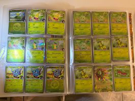 Pokemon Karten Sammlung Ascended Heroes 🇬🇧 Master Set