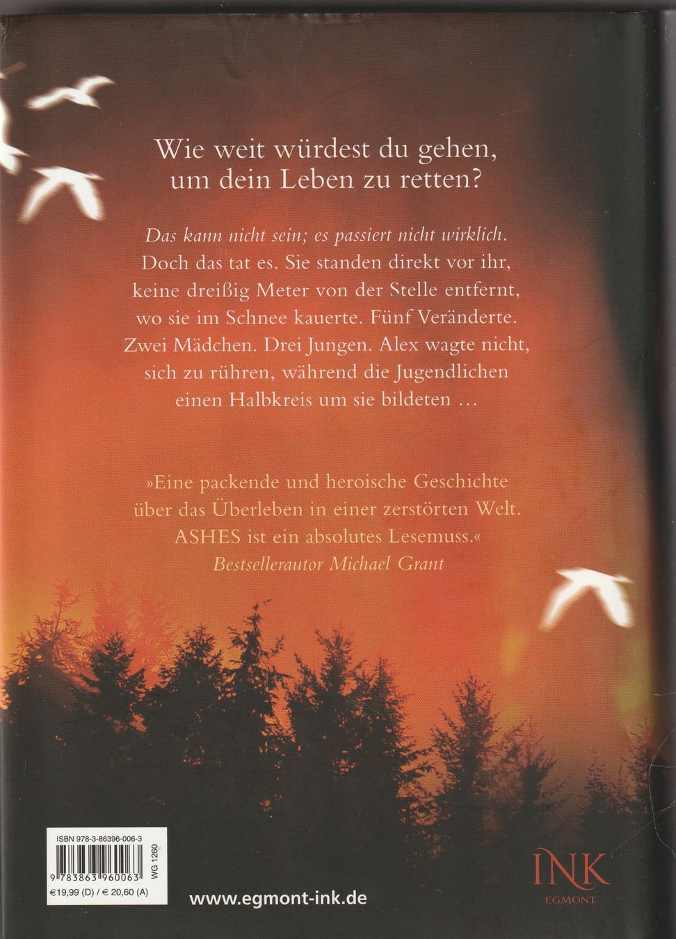 Libri: lsa J. Bick - Tödliche Schatten - Ashes 2 - gebunden – Nuovo (secondo la descrizione) da Luzern venduto da Baumhuepfer01 1