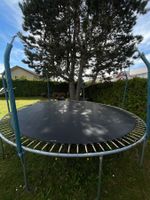 Trampoline