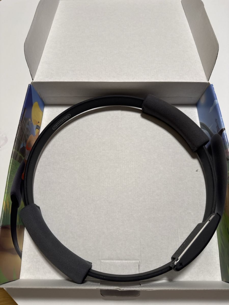 Giochi: Ringfit Nintendo Switch – Usato da Hellbühl venduto da 4Sale4you 2