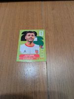 Panini JOR7