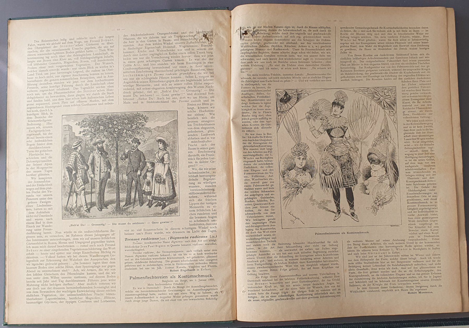 Bücher: Deutsche Gärtner-zeitung 1886+87, Top – Gebraucht aus Kreuzlingen von Rschweiz1 2
