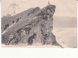 Rochers de Naye 1909