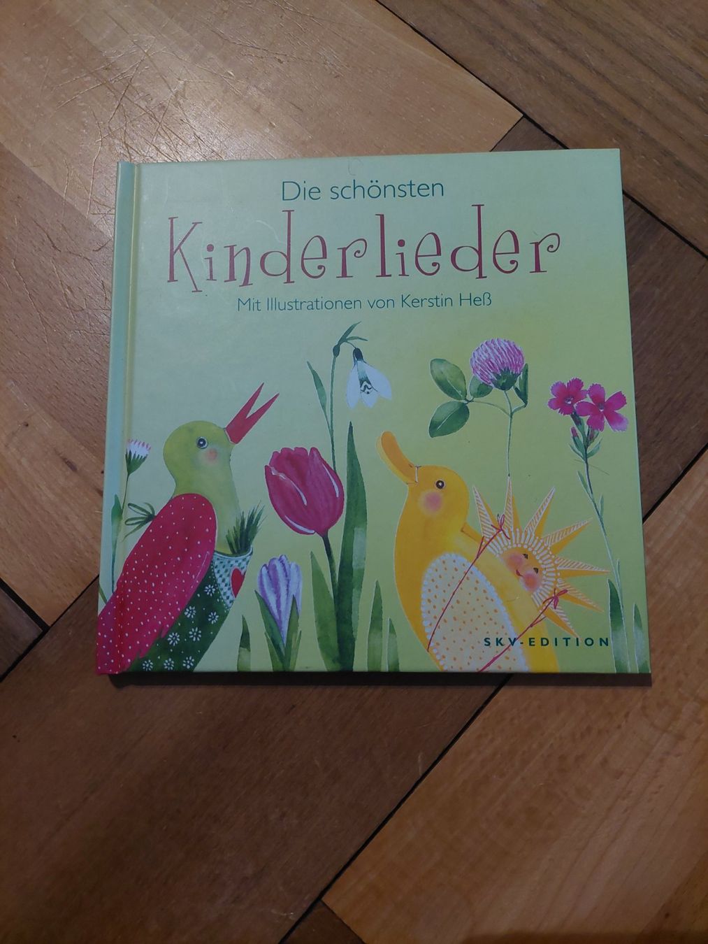 Libri: Geschenkbuch Kinderlieder von Kerstin Hess, SKV-Edition – Nuovo (secondo la descrizione) da Beckenried venduto da Havacola 1