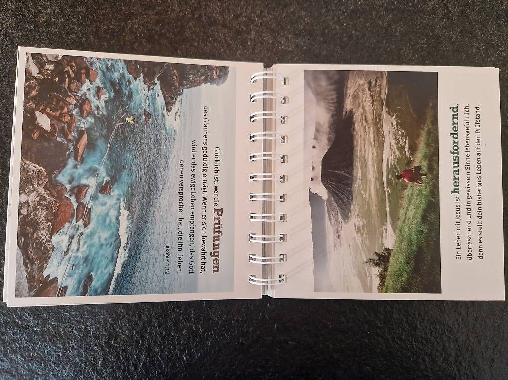 Libri: Abenteuer leben  – Usato da Surrein venduto da deb_sjh6 2